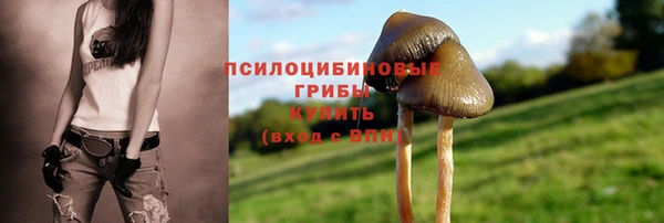 винт Белоозёрский