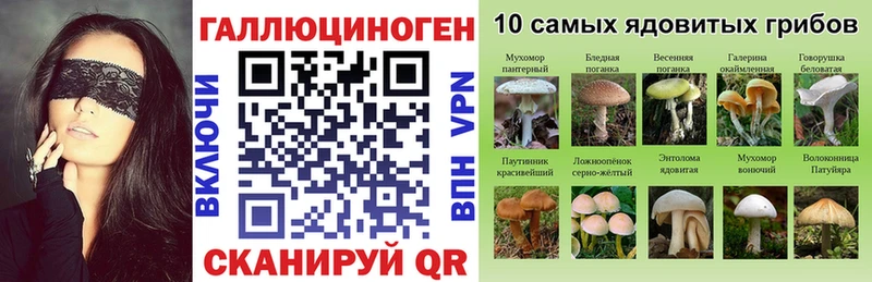 Псилоцибиновые грибы Cubensis  Городовиковск 